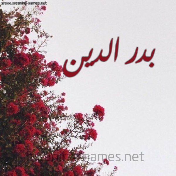 شكل 18 صوره الورد الأحمر للإسم بخط رقعة صورة اسم بدر الدين Badr eldin
